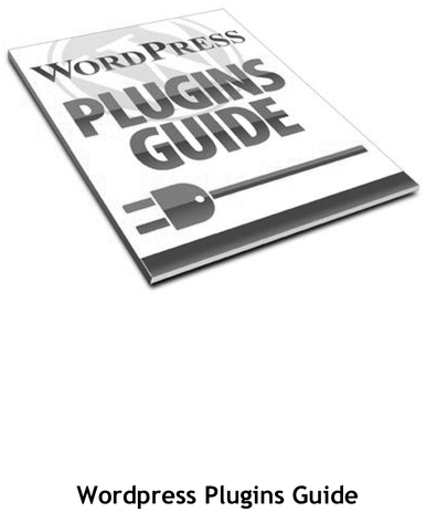 Product picture Wordpress Plugins Guide 